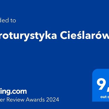 Agroturystyka Cieslarowka Lubawka Exterior photo